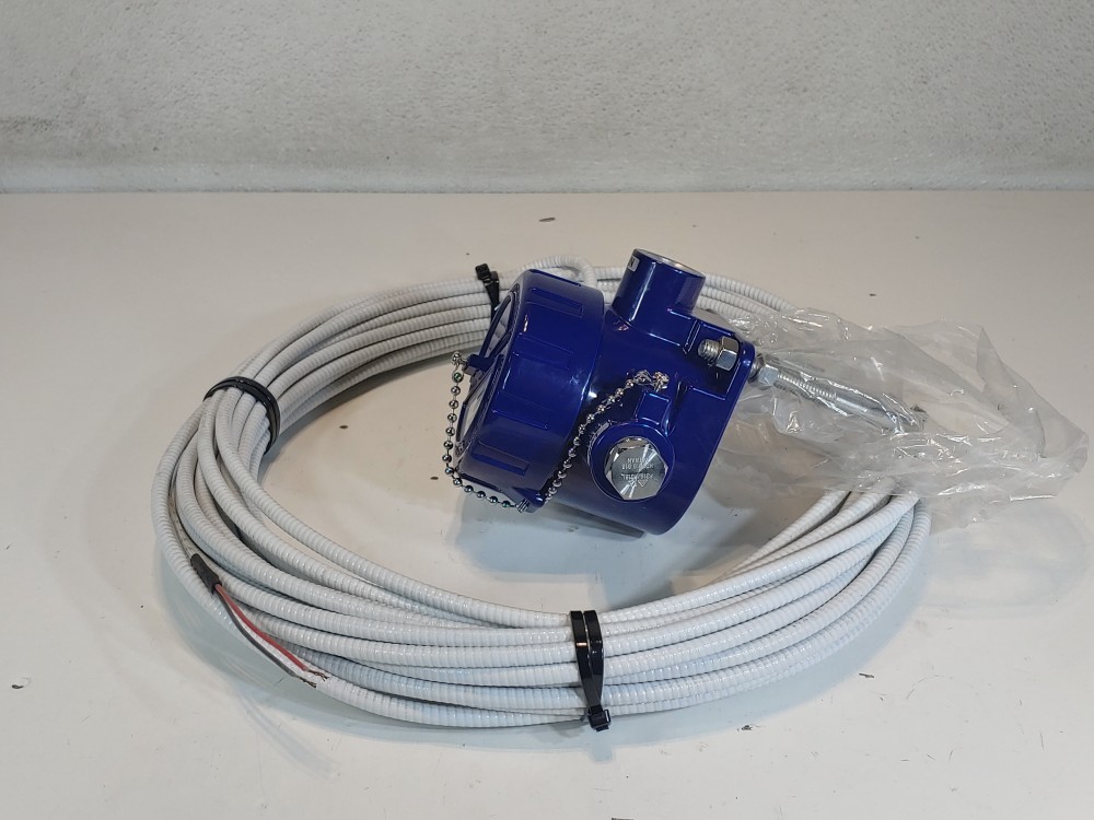 WIKA TC80 Thermocouple 