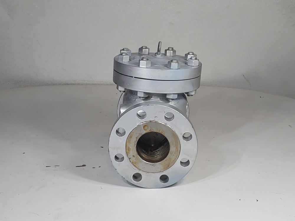 DSI 3" 300# WCB RF Flanged Swing Check Valve FIG#: 149 XU