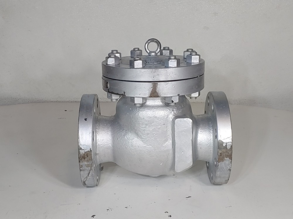 DSI 3" 300# WCB RF Flanged Swing Check Valve FIG#: 149 XU