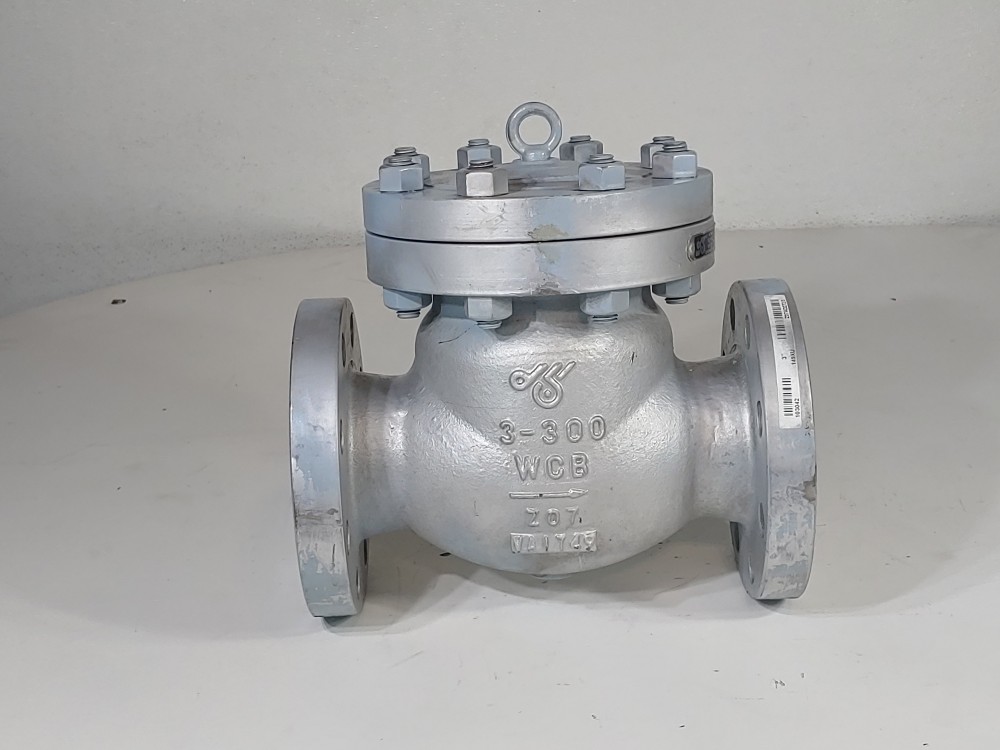 DSI 3" 300# WCB RF Flanged Swing Check Valve FIG#: 149 XU