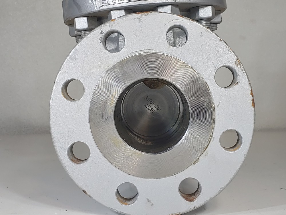 Warren 3" 300# RF WCB Flanged Check Valve Fig# 3305-8