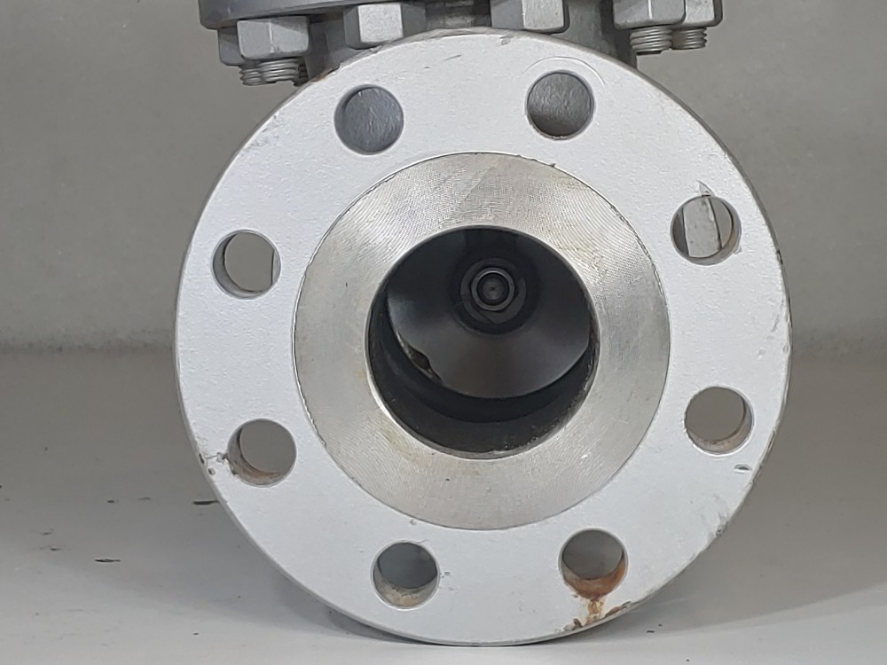 Warren 3" 300# RF WCB Flanged Check Valve Fig# 3305-8