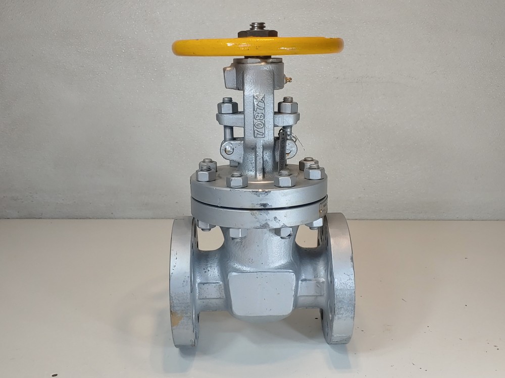 Warren 2" 300# WCB RF Gate Valve Figure # 1305-8-624