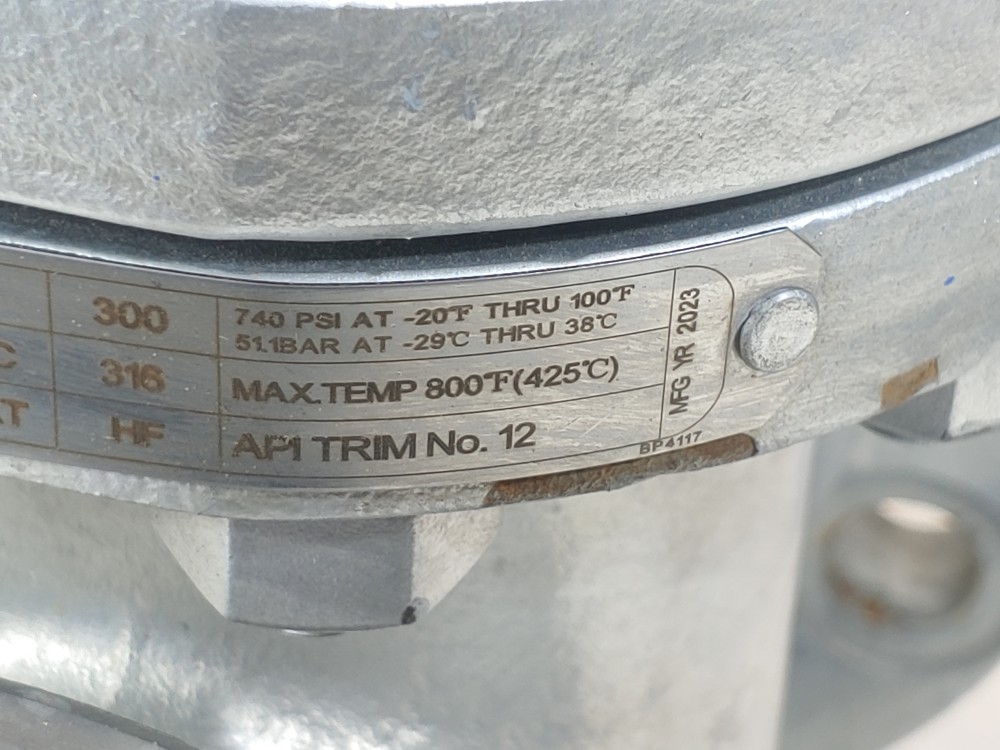 DSI 2" 300# WCB RF Flanged Gate Valve Fig#: 23LUF-N