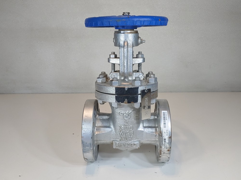 DSI 2" 300# WCB RF Flanged Gate Valve Fig#: 23LUF-N
