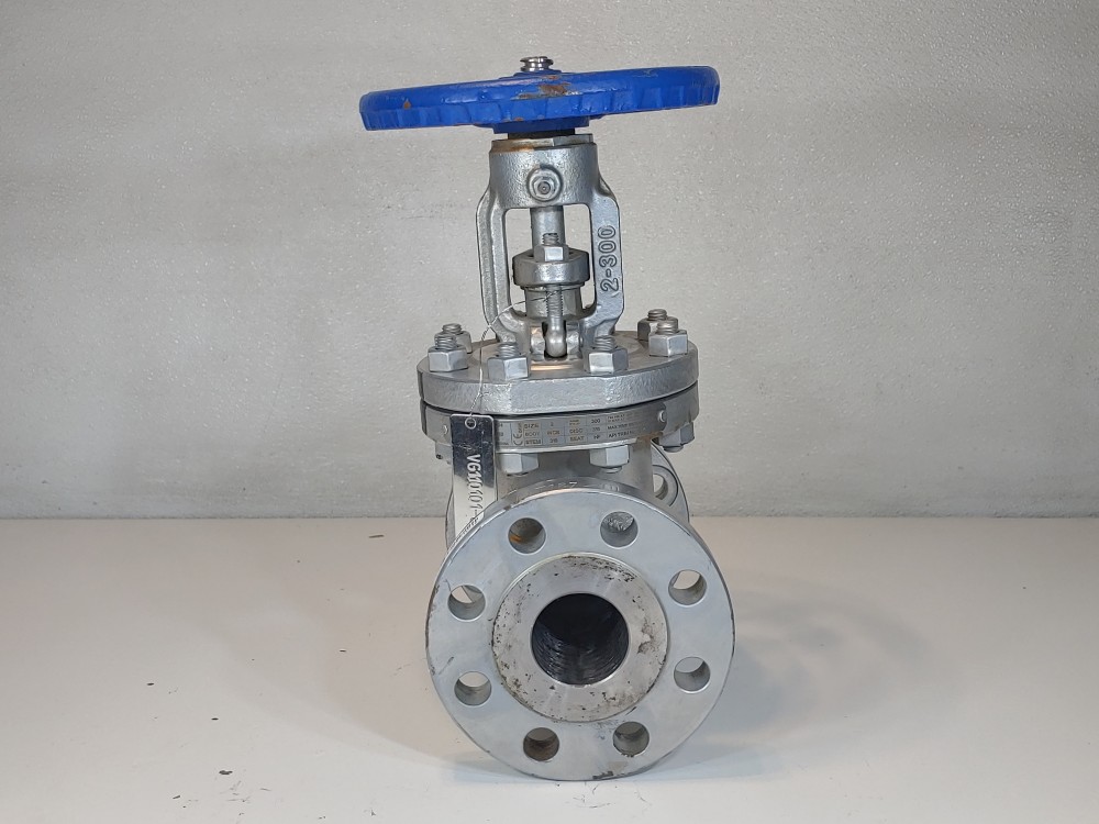 DSI 2" 300# WCB RF Flanged Gate Valve Fig#: 23LUF-N