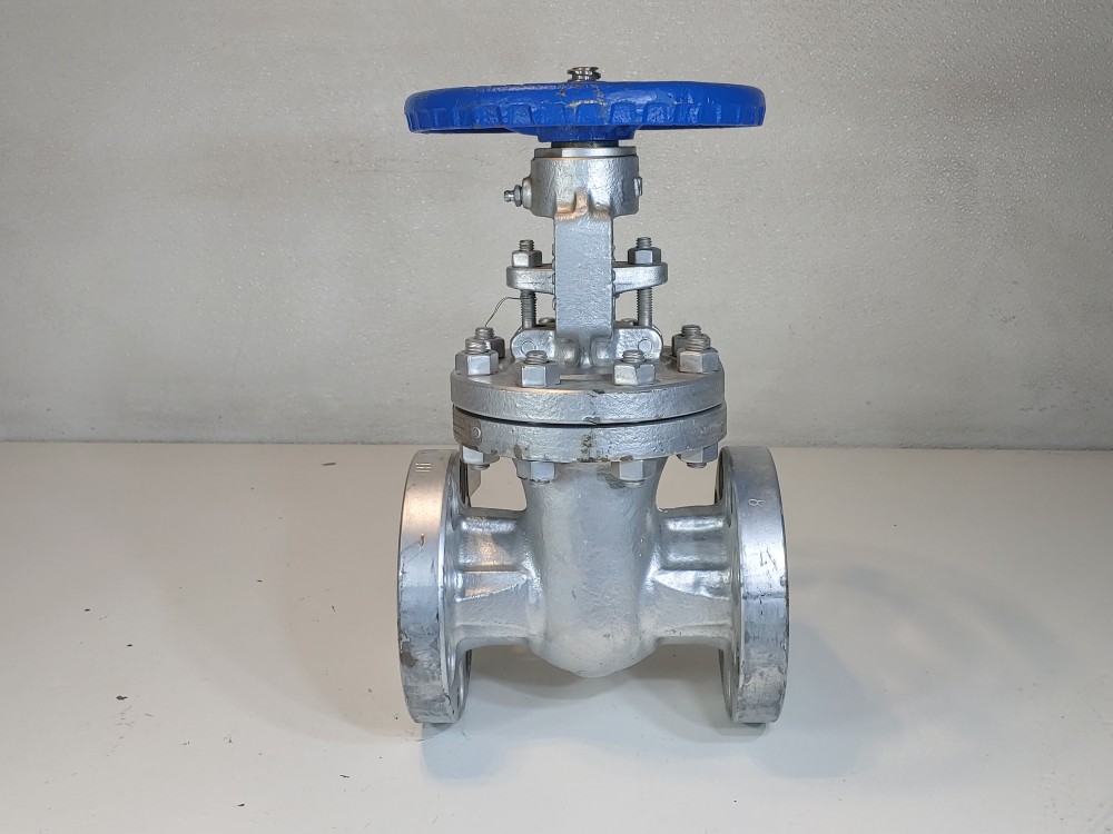 DSI 2" 300# WCB RF Flanged Gate Valve Fig#: 23LUF-N