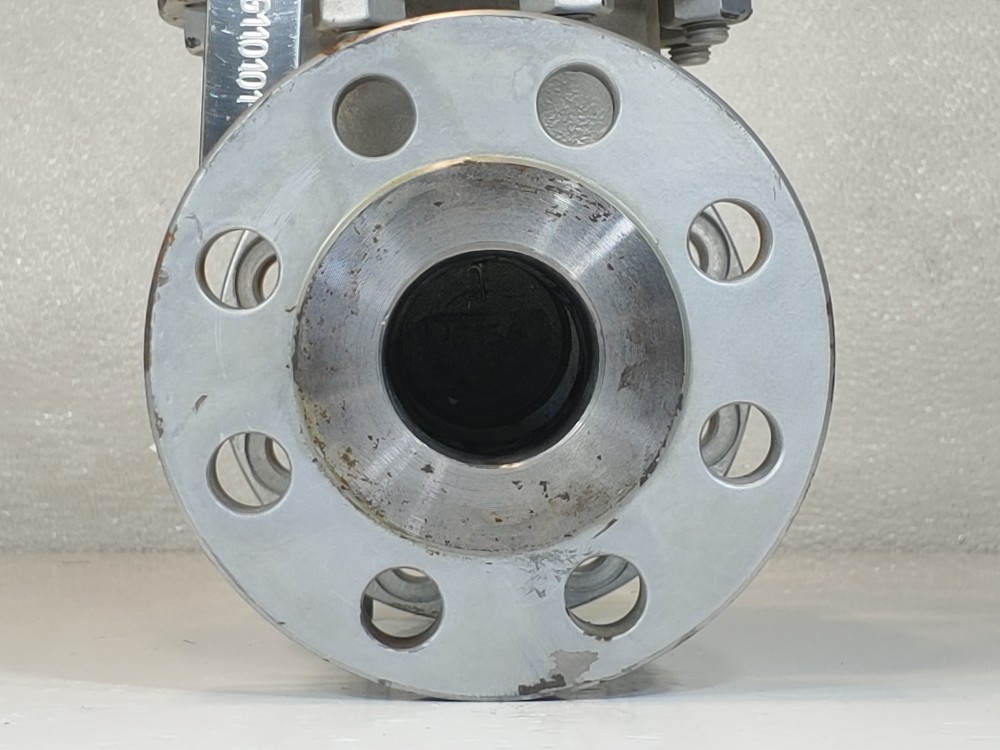 DSI 2" 300# WCB RF Flanged Gate Valve Fig#: 23LUF-N