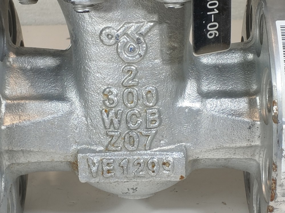 DSI 2" 300# WCB RF Flanged Gate Valve Fig#: 23LUF-N