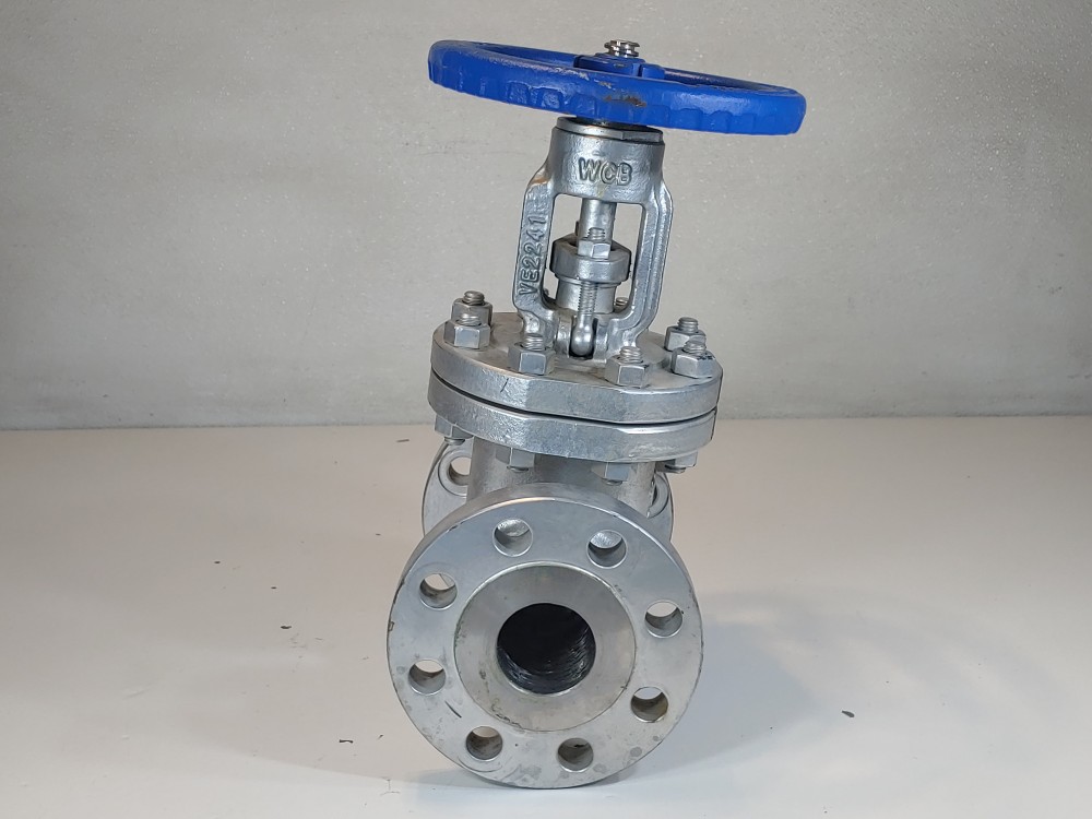 DSI 2" 300# WCB RF Flanged Gate Valve Fig#: 23LUF-N