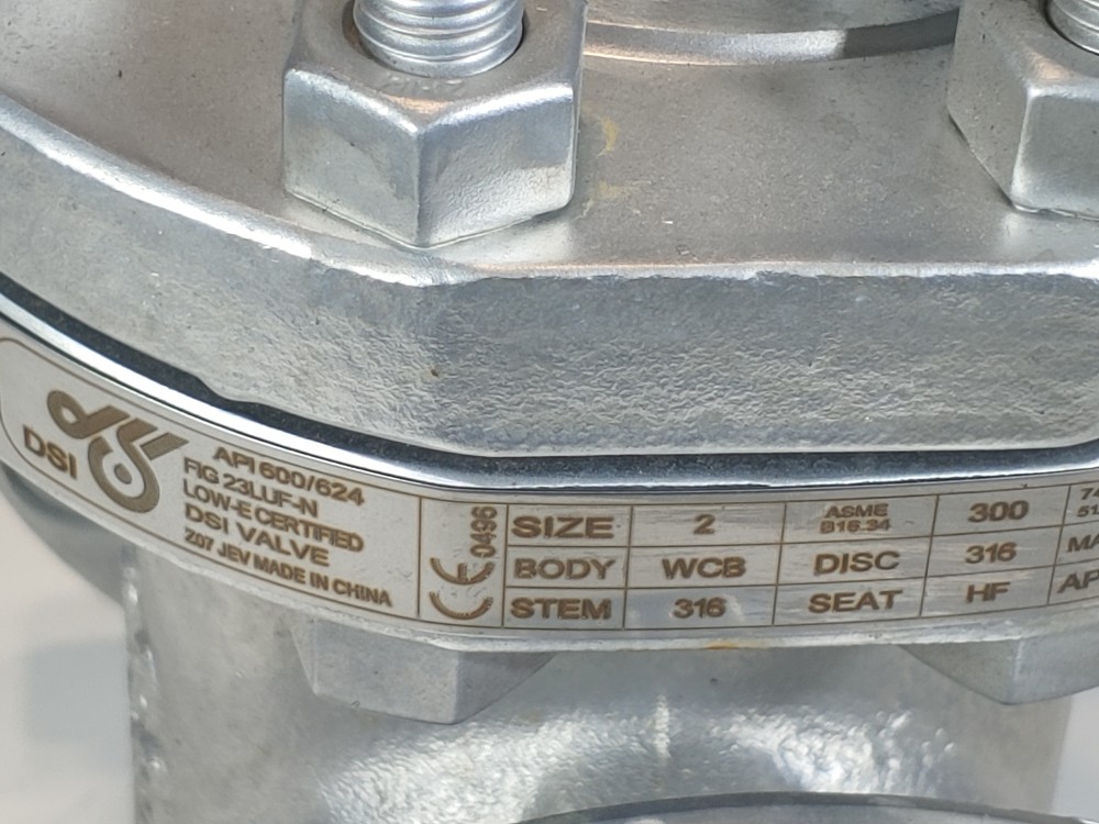 DSI 2" 300# WCB RF Flanged Gate Valve Fig#: 23LUF-N