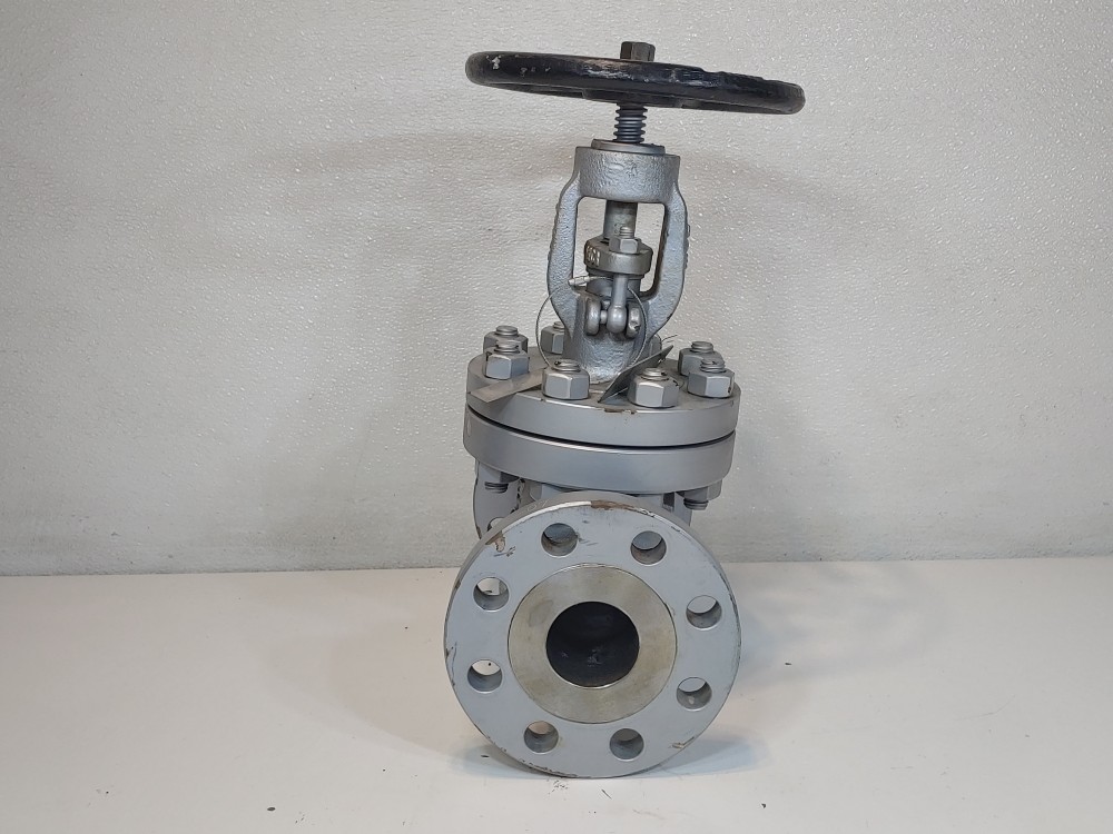 Warren 2" 300# WCB RF Flanged Globe Valve Figure # 302F2N