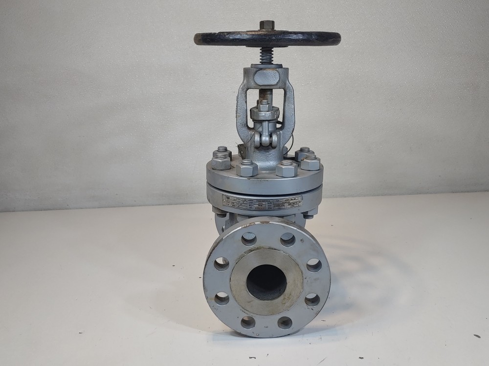Warren 2" 300# WCB RF Flanged Globe Valve Figure # 302F2N