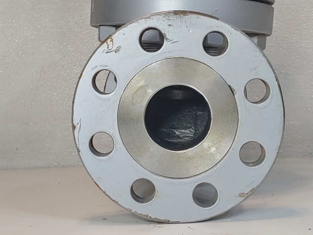 Warren 2" 300# WCB RF Flanged Globe Valve Figure # 302F2N