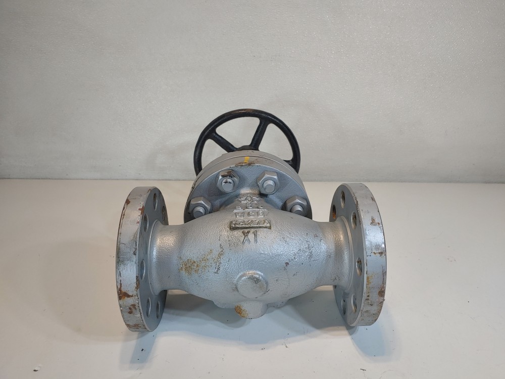 Warren 2" 300# WCB RF Flanged Globe Valve Figure # 302F2N