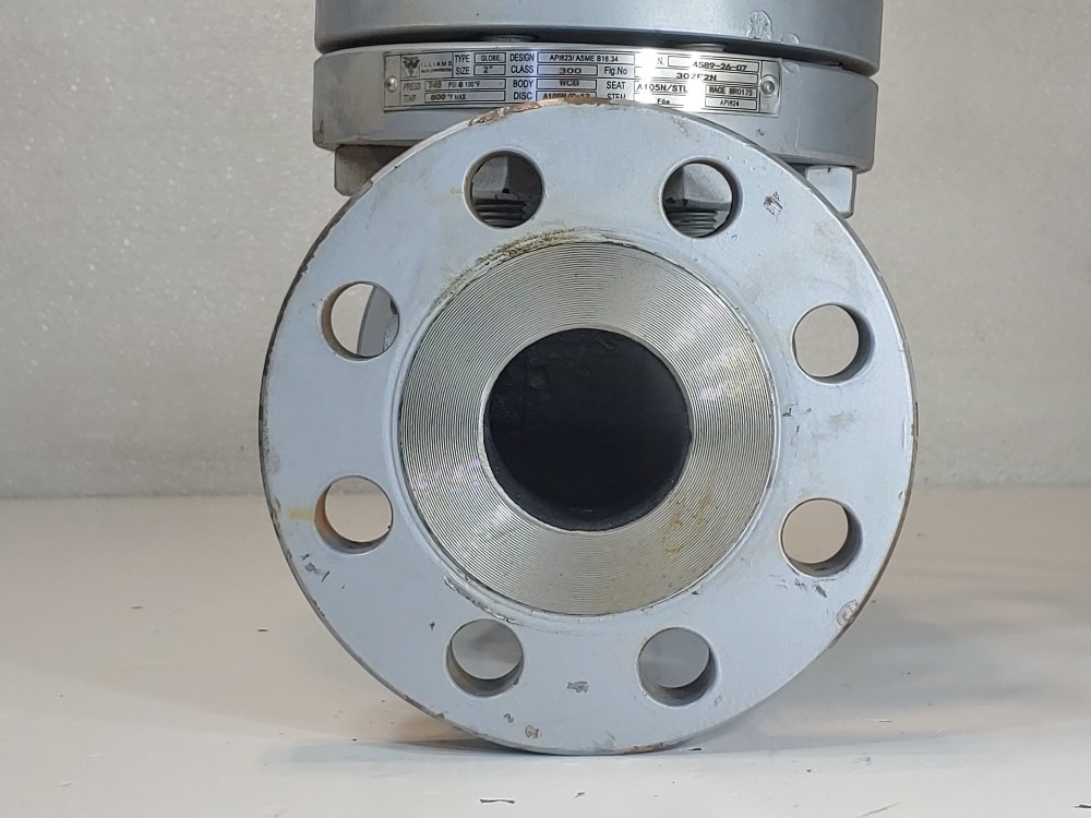 Warren 2" 300# WCB RF Flanged Globe Valve Figure # 302F2N