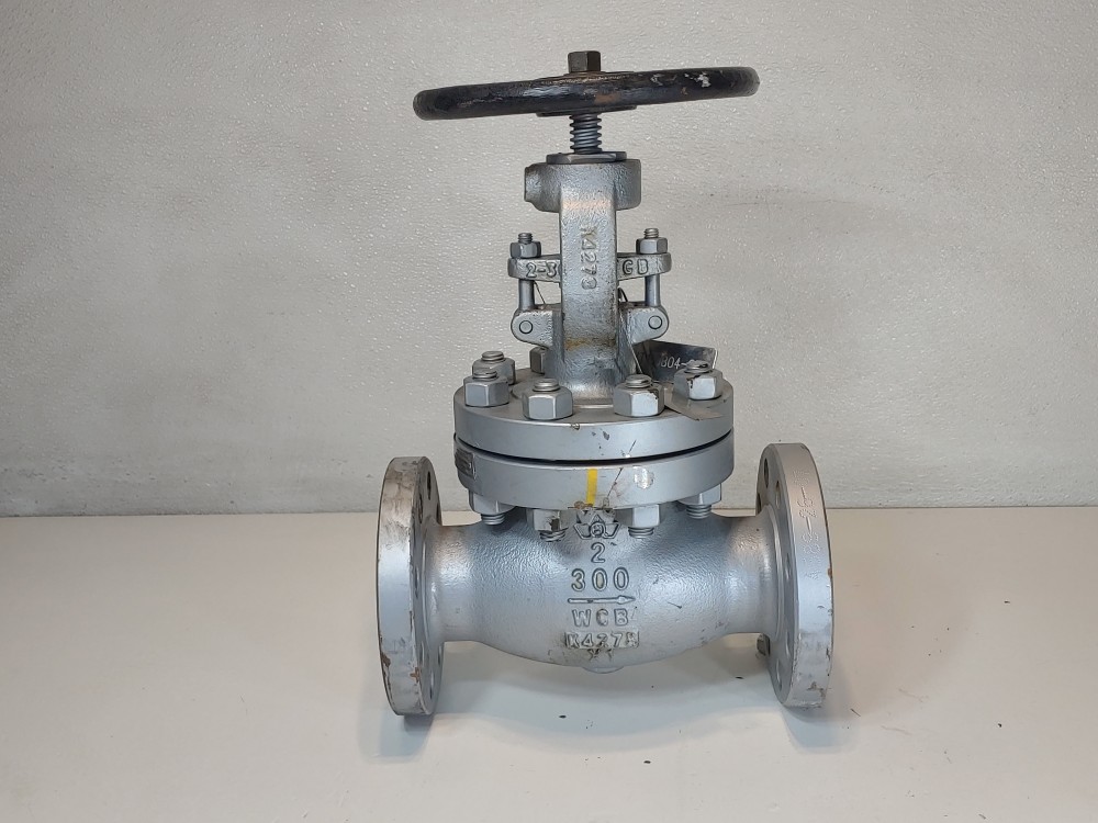 Warren 2" 300# WCB RF Flanged Globe Valve Figure # 302F2N