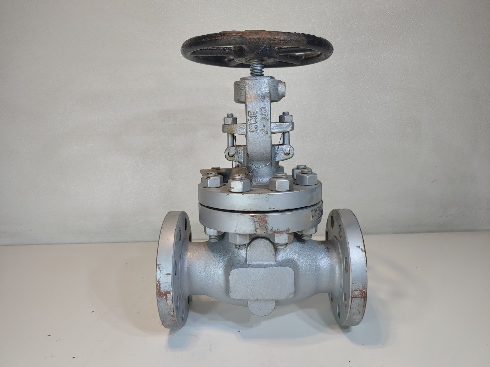 Warren 2" 300# WCB RF Flanged Globe Valve Figure # 302F2N