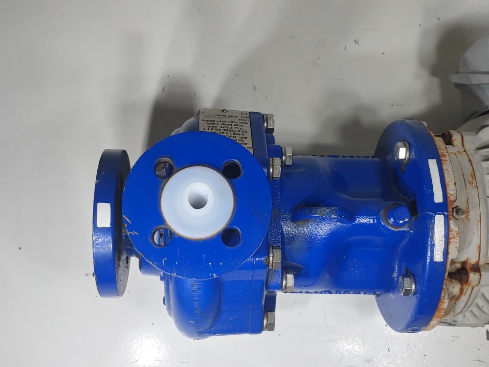 Flowserve Innomag  AA-1.5X1X6" Sealless Centrifugal Pump w/3HP Motor