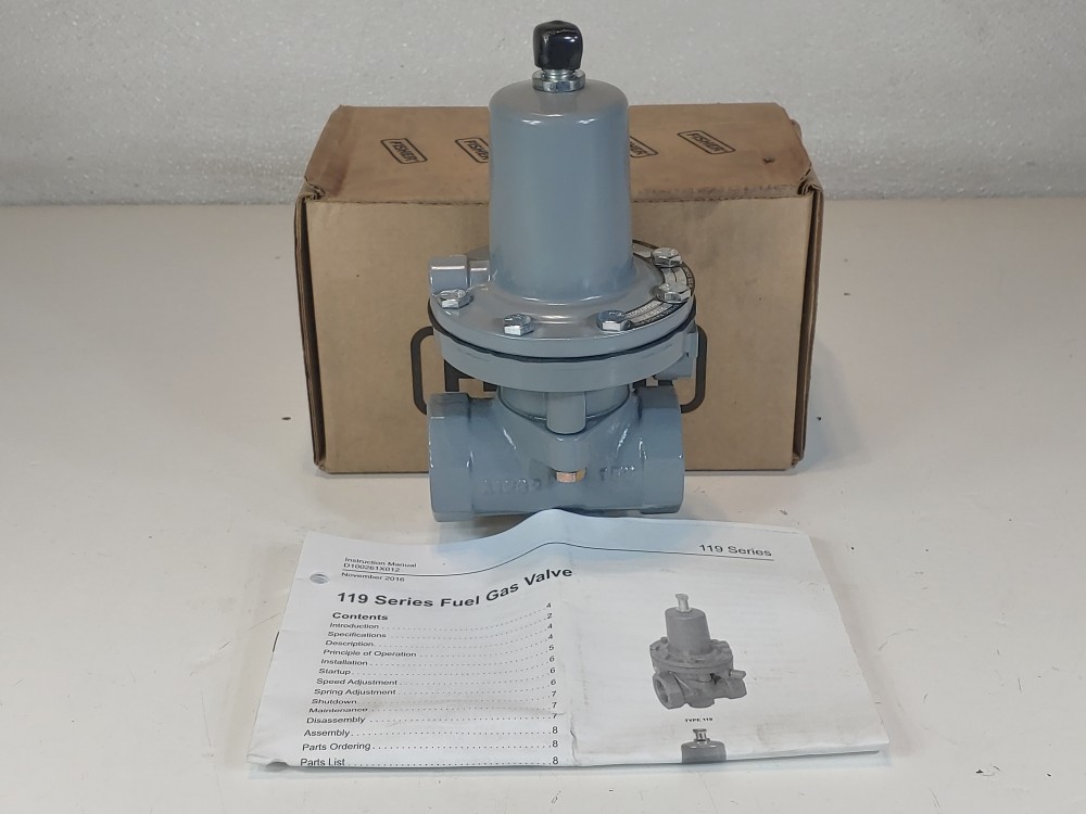 Fisher 1" FNPT Control Valve Type 119