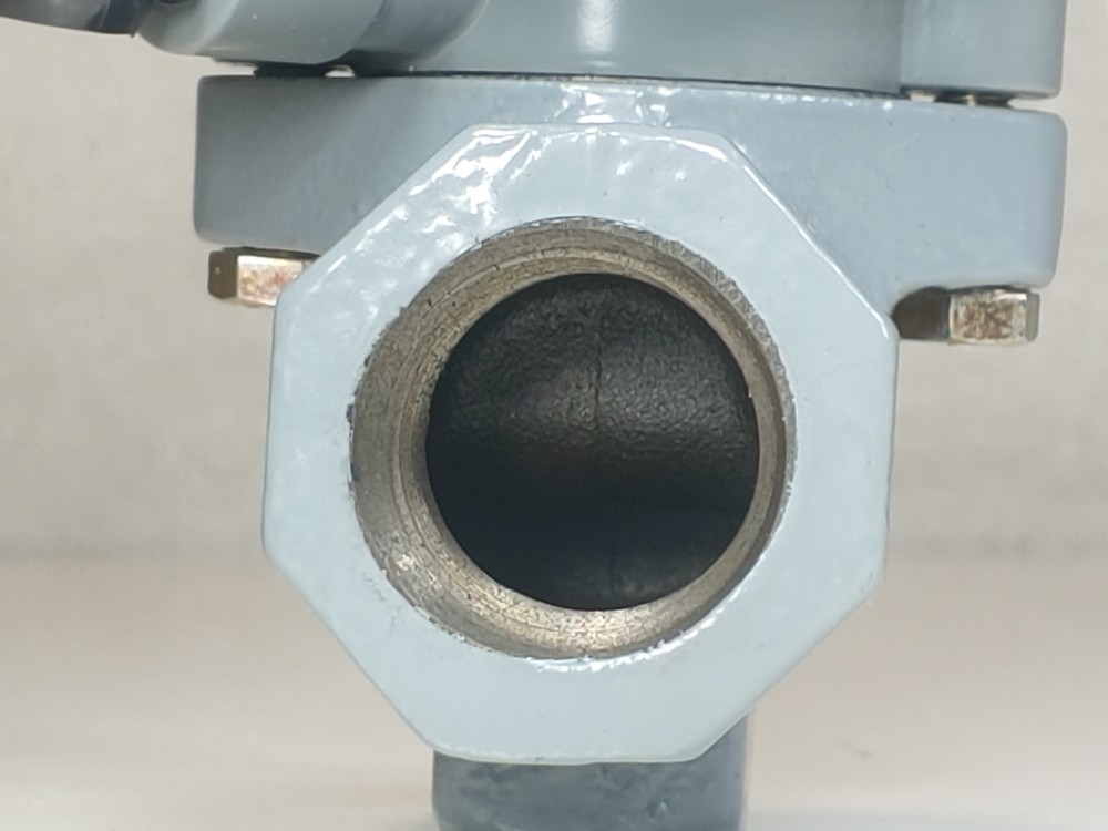 Fisher 1" FNPT Control Valve Type 119