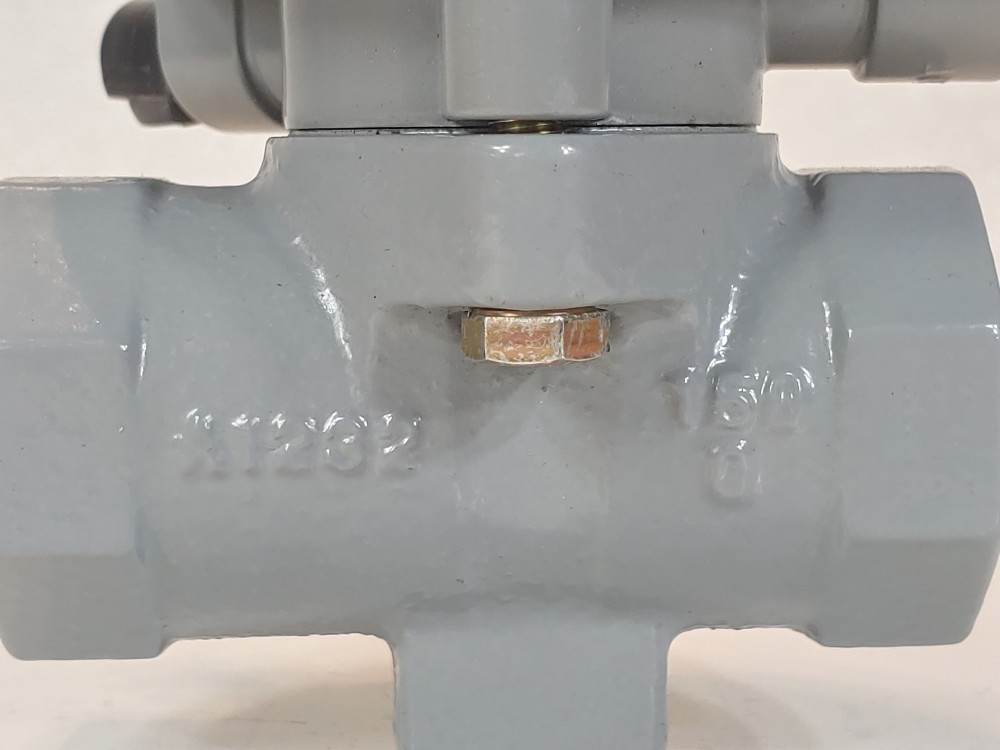 Fisher 1" FNPT Control Valve Type 119