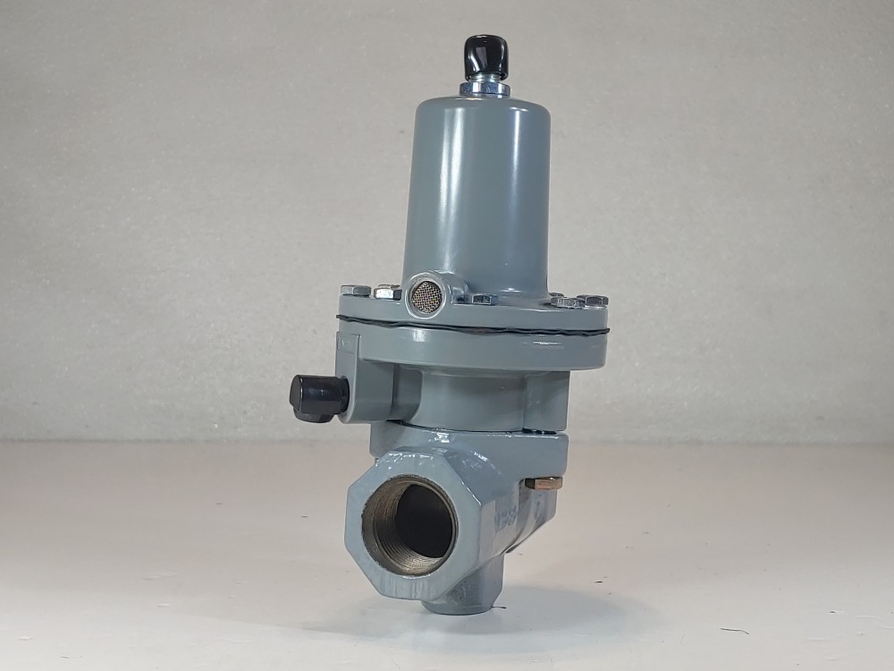 Fisher 1" FNPT Control Valve Type 119