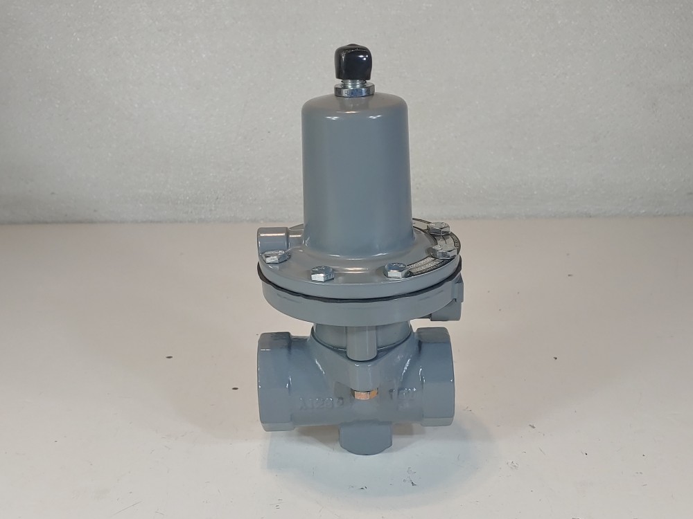 Fisher 1" FNPT Control Valve Type 119