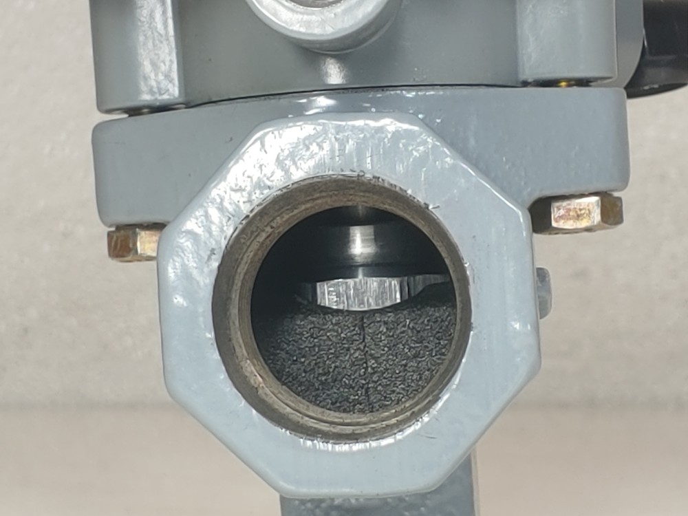 Fisher 1" FNPT Control Valve Type 119