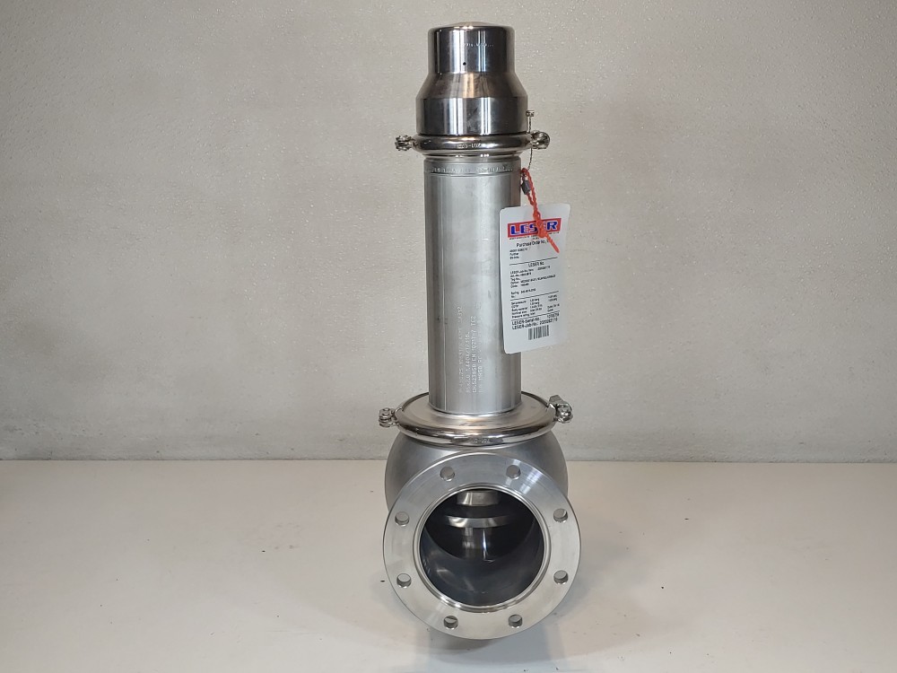 Leser 4884.8878 Pressure Relief Valve
