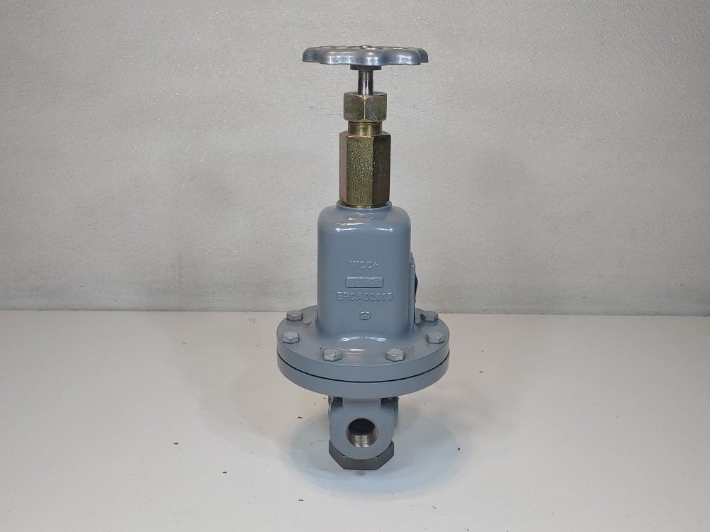 Fisher MR95 Series Pressure Regulator MR95HDP