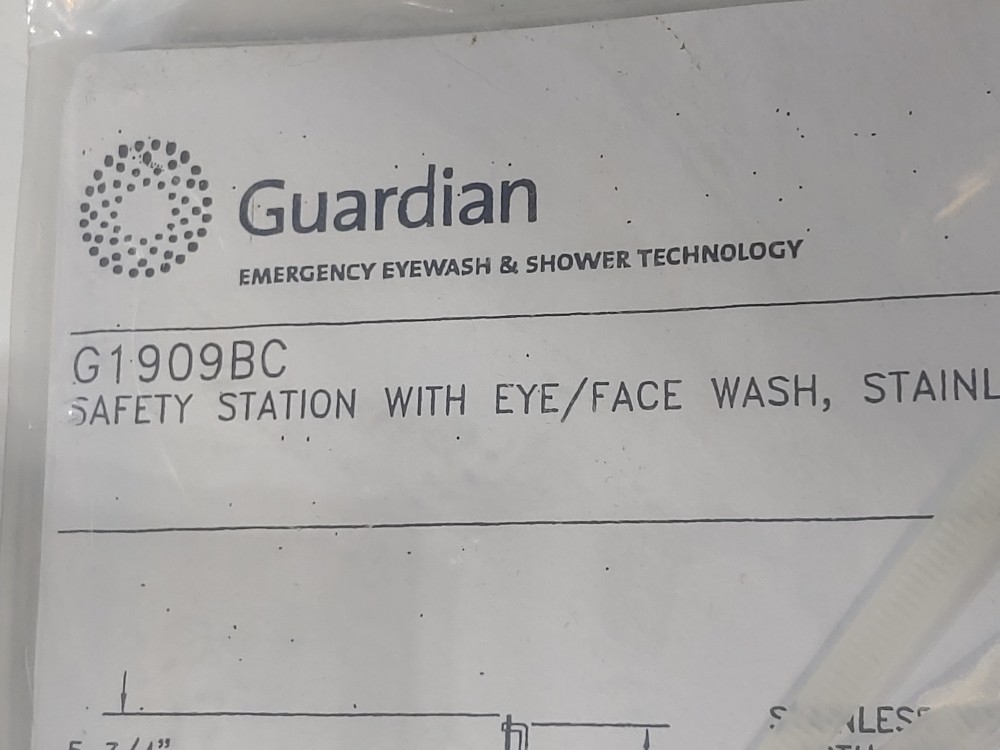 Guardian G1909BC Safety Shower with Eye/Face Wash & Stainless Steel Bowl & Cover