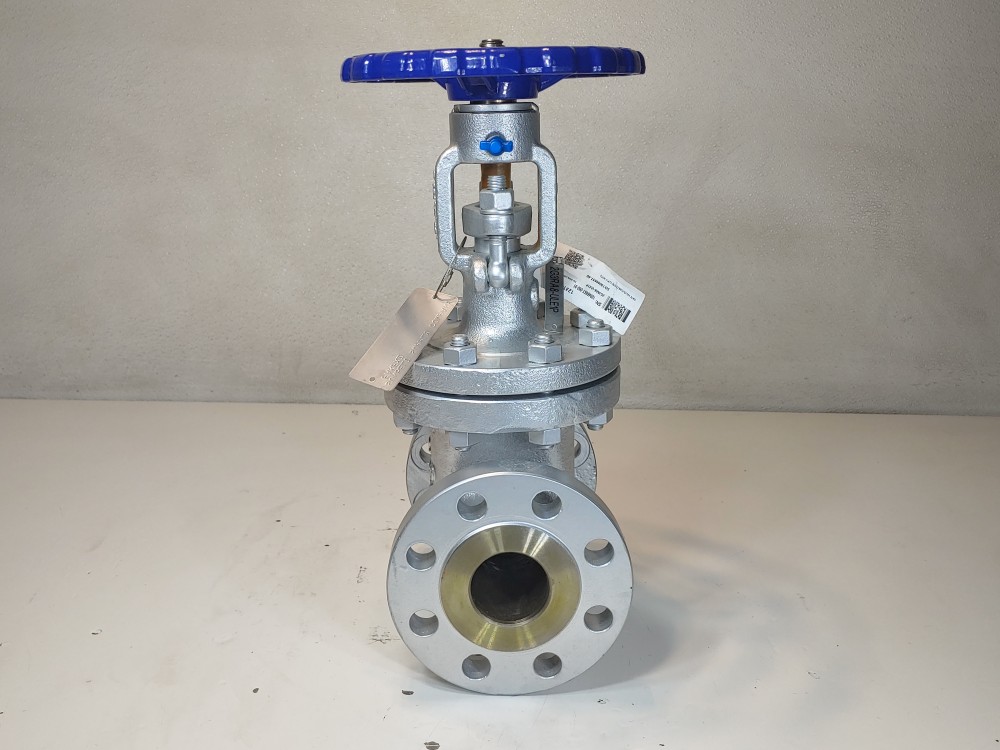 Neway 2" 300# RF Flanged WCB Figure#: 2G3RA8-ULE1P