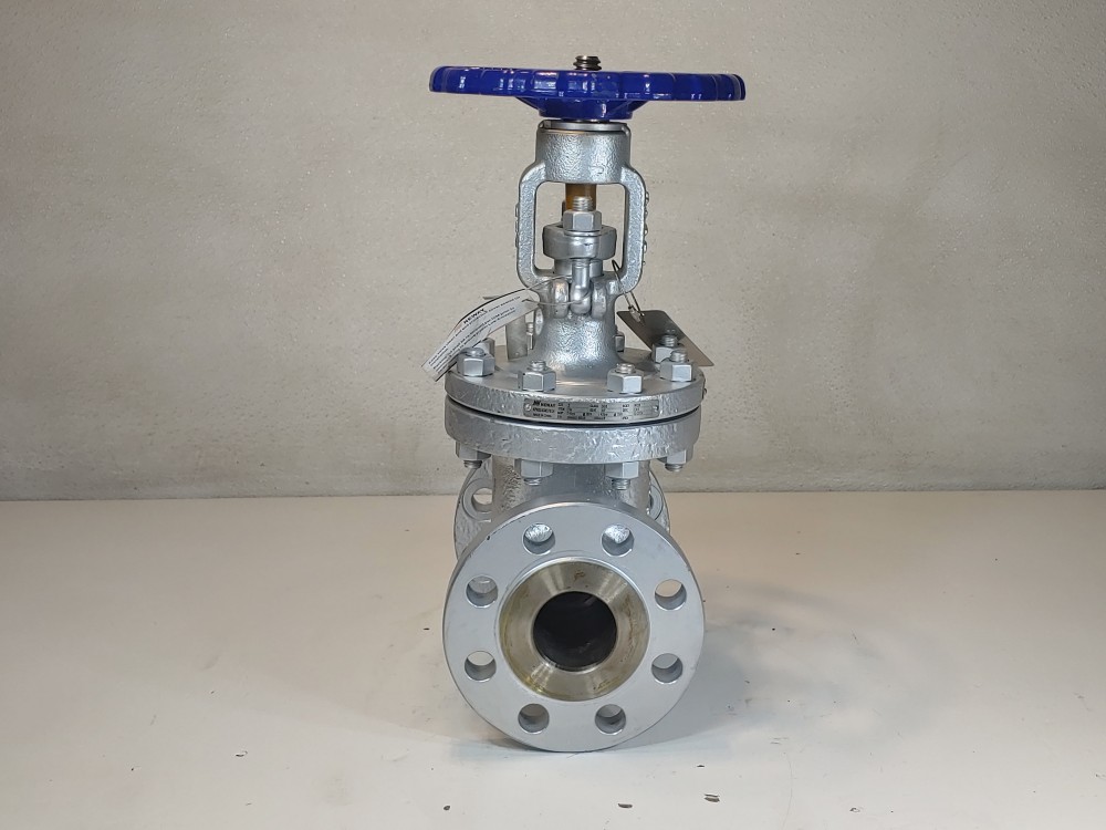 Neway 2" 300# RF Flanged WCB Figure#: 2G3RA8-ULE1P