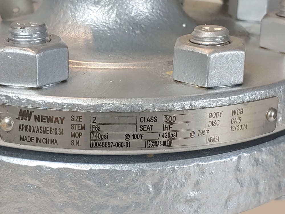 Neway 2" 300# RF Flanged WCB Figure#: 2G3RA8-ULE1P