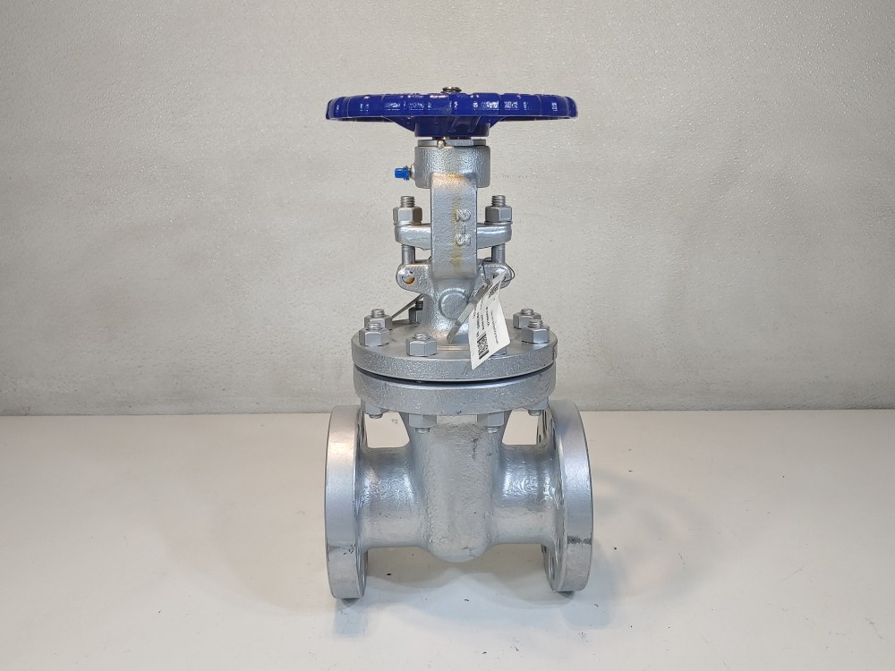 Neway 2" 300# RF Flanged WCB Figure#: 2G3RA8-ULE1P
