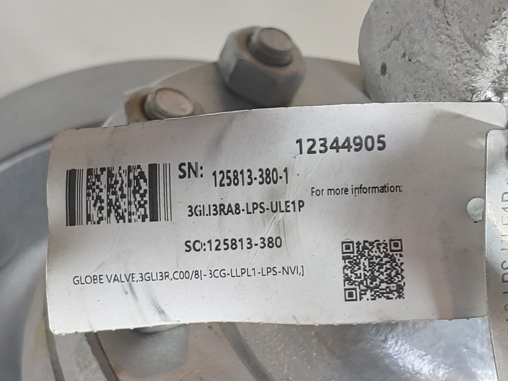 Neway 3" 300# WCB RF Globe Valve 3GLI3RA8-LPS-ULE1P