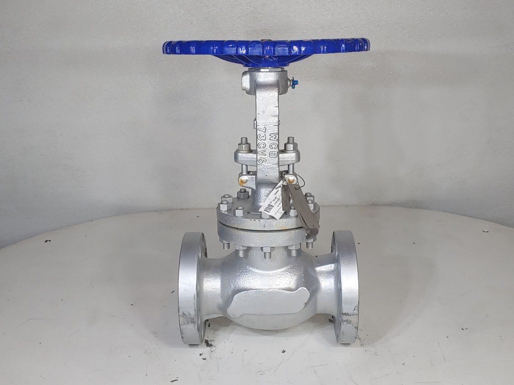 Neway 3" 300# WCB RF Globe Valve 3GLI3RA8-LPS-ULE1P