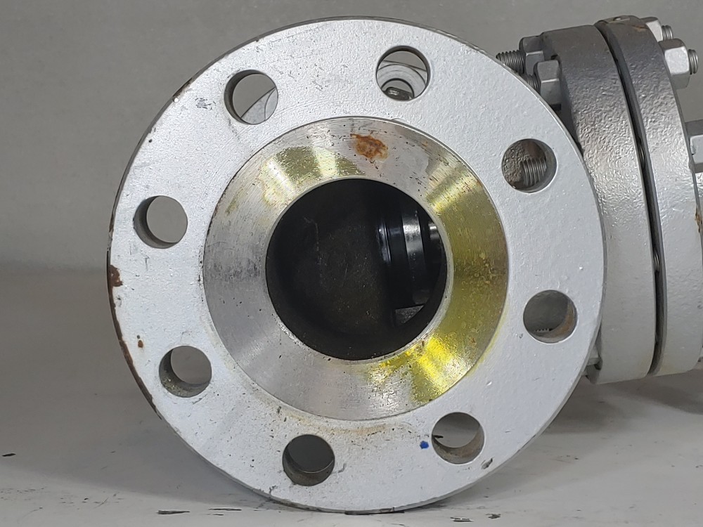 Neway 3" 300# WCB RF Globe Valve 3GLI3RA8-LPS-ULE1P
