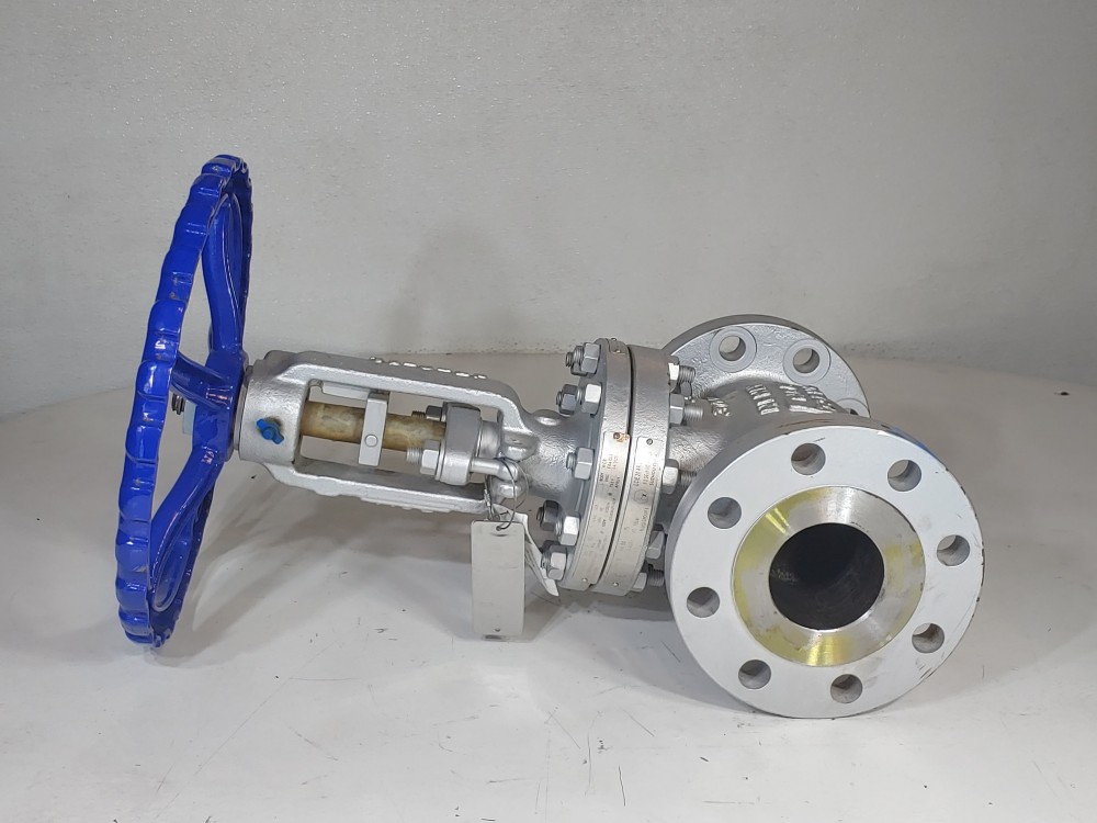 Neway 3" 300# WCB RF Globe Valve 3GLI3RA8-LPS-ULE1P