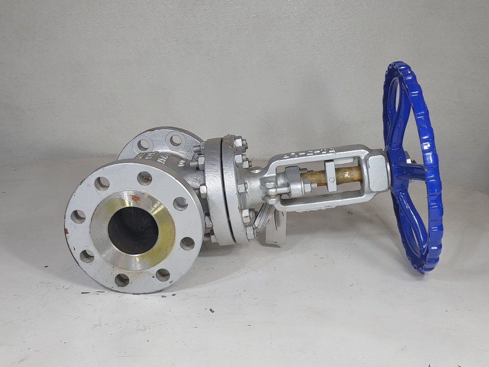 Neway 3" 300# WCB RF Globe Valve 3GLI3RA8-LPS-ULE1P