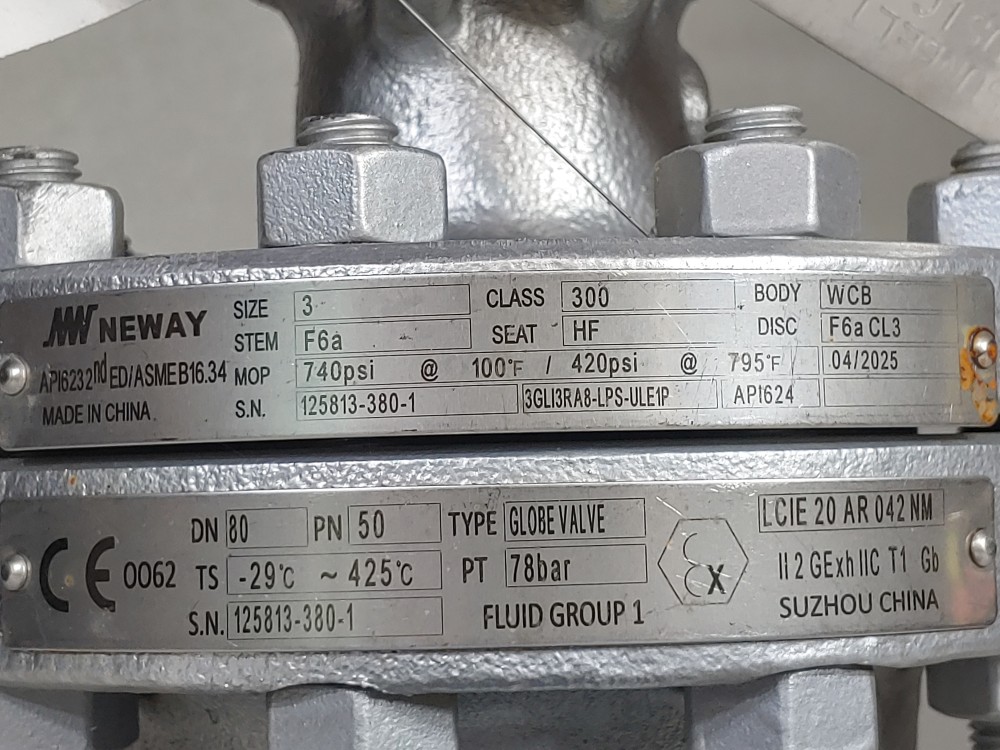 Neway 3" 300# WCB RF Globe Valve 3GLI3RA8-LPS-ULE1P