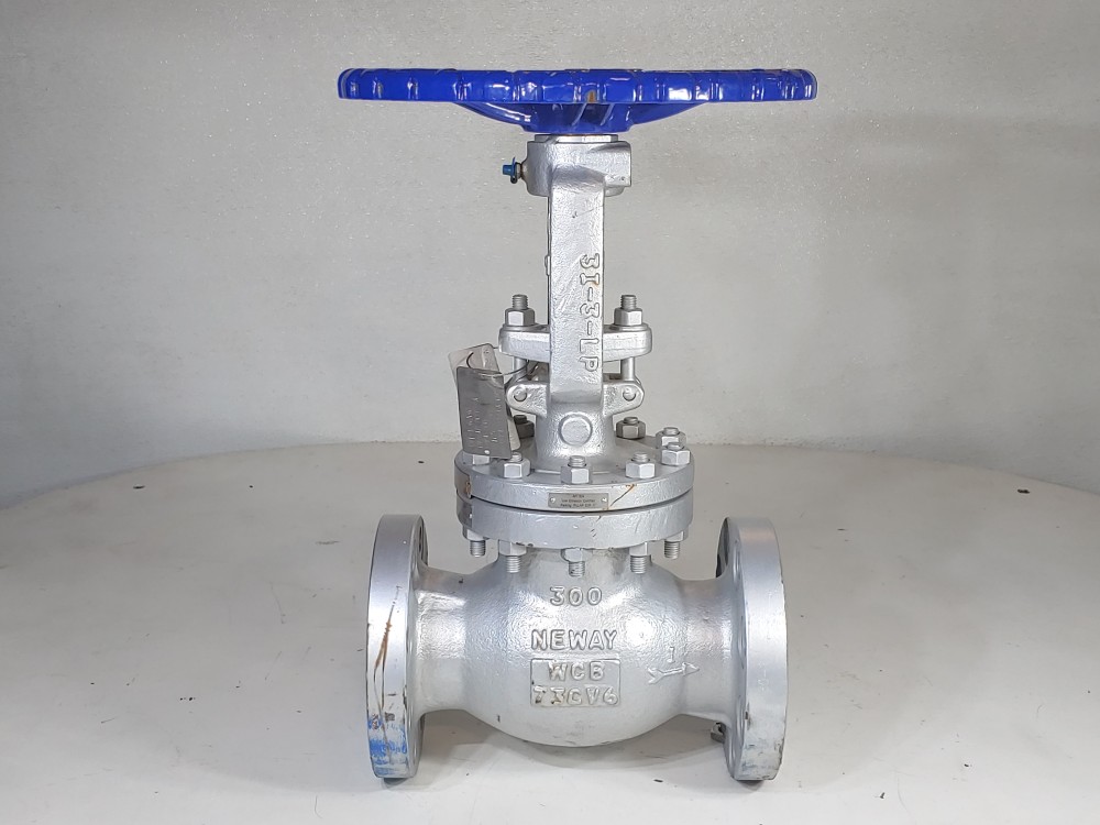 Neway 3" 300# WCB RF Globe Valve 3GLI3RA8-LPS-ULE1P
