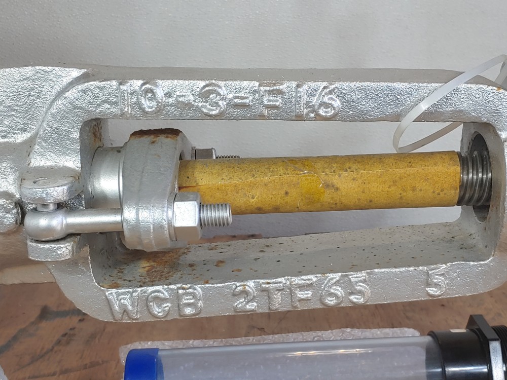 Neway 10" 300# Flanged WCB Gate Valve FIG#: 10G3RA8-G-ULE1P