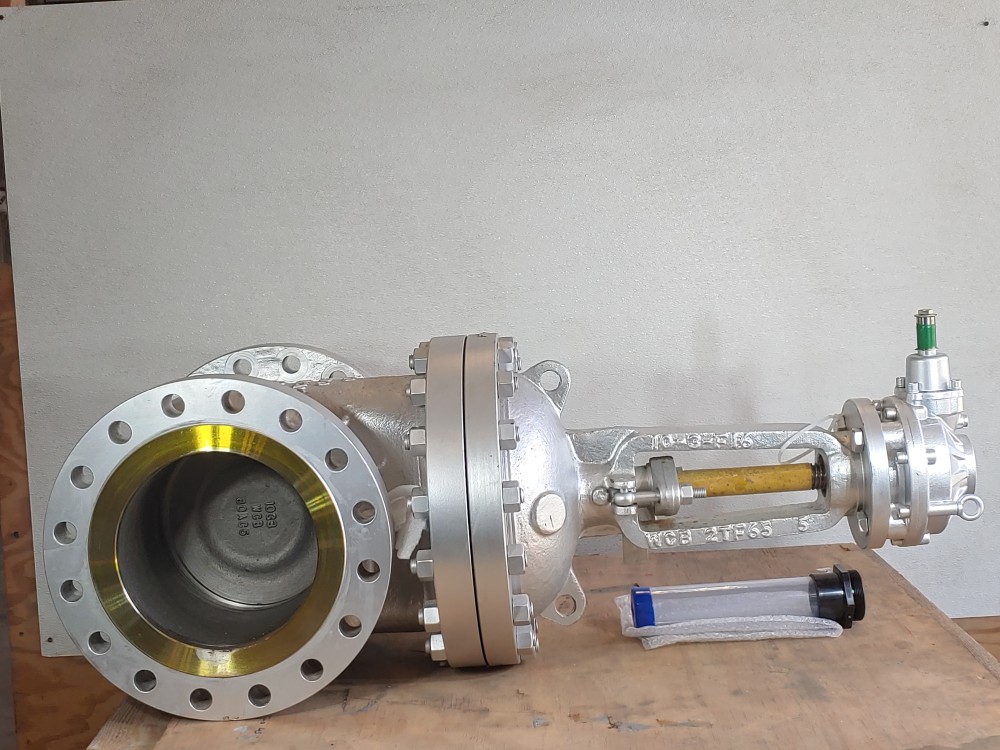 Neway 10" 300# Flanged WCB Gate Valve FIG#: 10G3RA8-G-ULE1P
