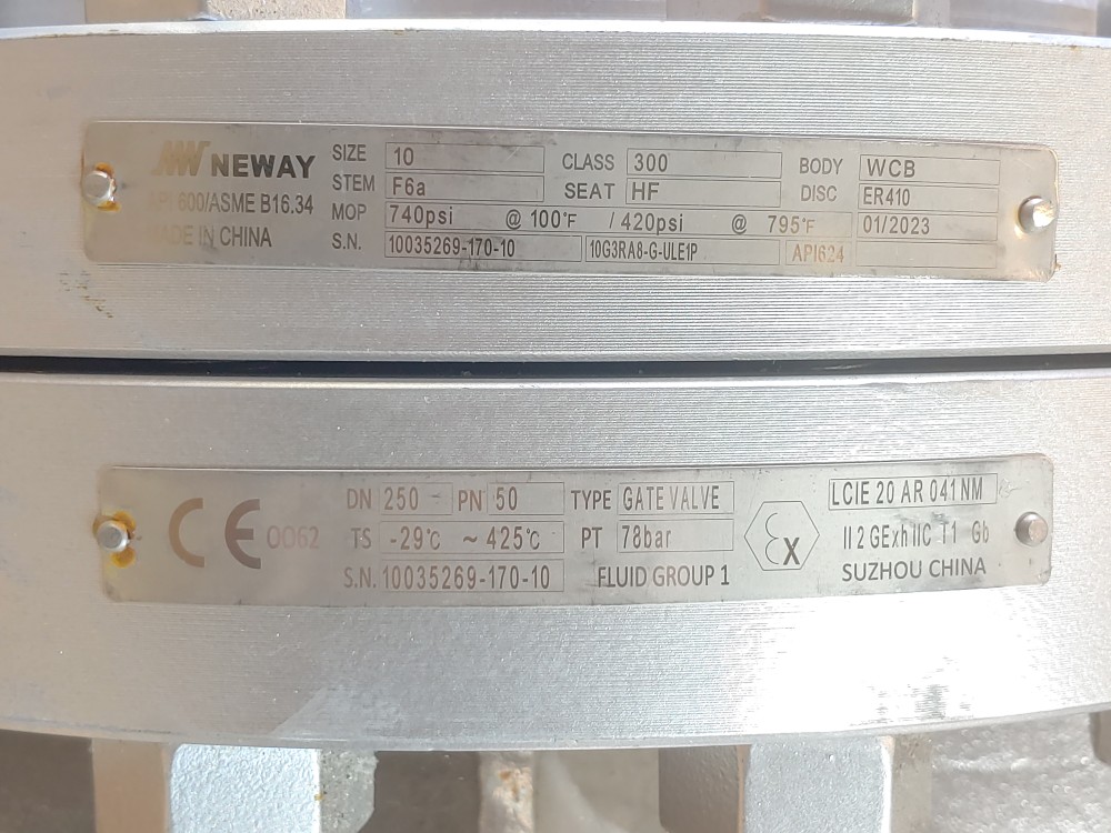 Neway 10" 300# Flanged WCB Gate Valve FIG#: 10G3RA8-G-ULE1P