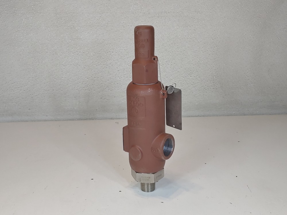 Farris 3/4" x 1" NPT 275# WCB Pressure Relief Valve 27DA23-M20 