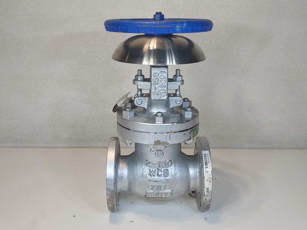 DSI 2" 150 RF WCB Globe Valve Fig#: 133 XU w/Acid Splash Guard 