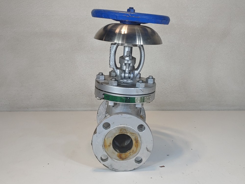 DSI 2" 150 RF WCB Globe Valve Fig#: 133 XU w/Acid Splash Guard 