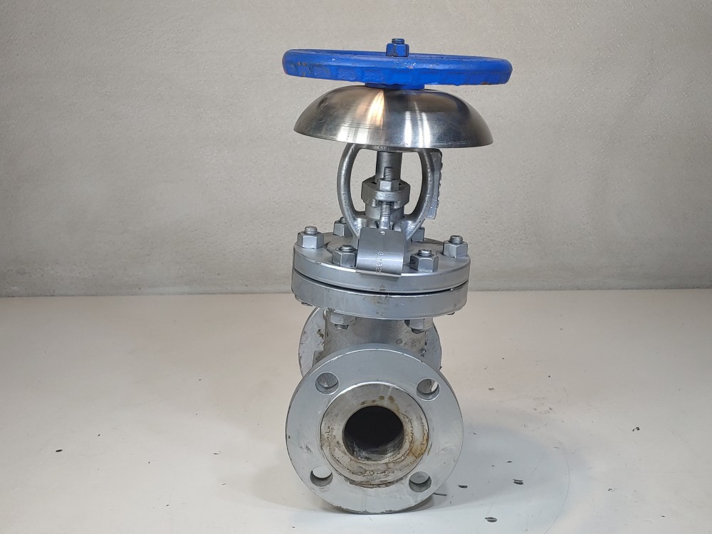 DSI 2" 150 RF WCB Globe Valve Fig#: 133 XU w/Acid Splash Guard 